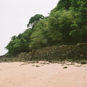 /Albums/13/107576 R1 15 15a