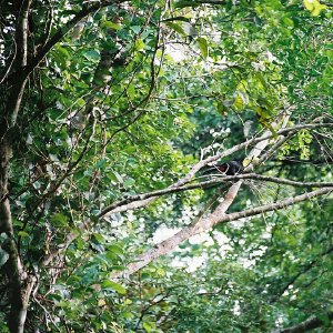 /Albums/13/107576 R1 24 24a