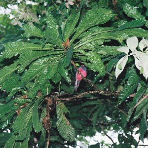 /Albums/13/107576 R1 26 26a