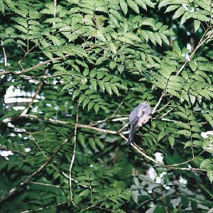 /Albums/13/107576 R1 27 27a