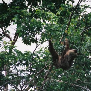 /Albums/13/107576 R1 30 30a