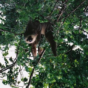 /Albums/13/107576 R1 32 32a