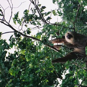 /Albums/13/107576 R1 33 33a