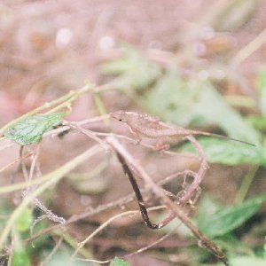 /Albums/13/449953 R1 02 34