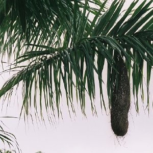 /Albums/13/449953 R1 03 33