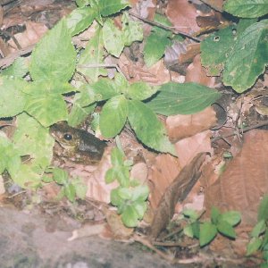 /Albums/13/449953 R1 12 24