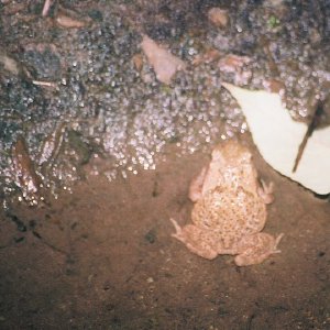 /Albums/13/449953 R1 14 22