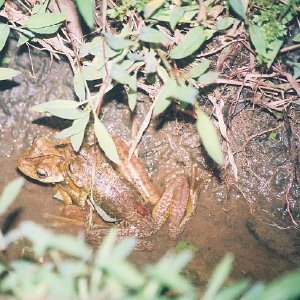 /Albums/13/449953 R1 15 21