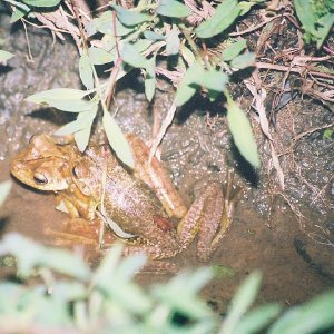 /Albums/13/449953 R1 16 20