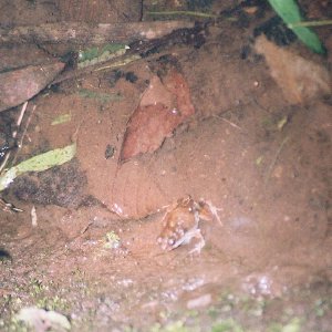 /Albums/13/449953 R1 18 18