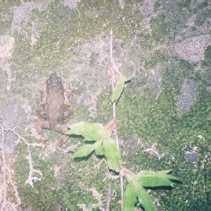 /Albums/13/449953 R1 19 17