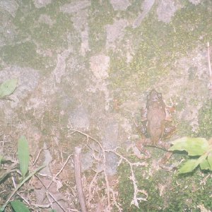 /Albums/13/449953 R1 20 16