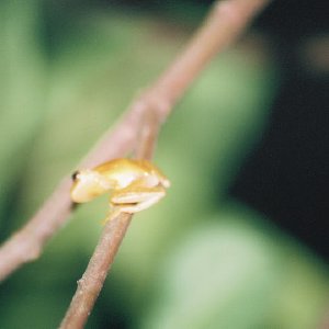 /Albums/13/449953 R1 25 11