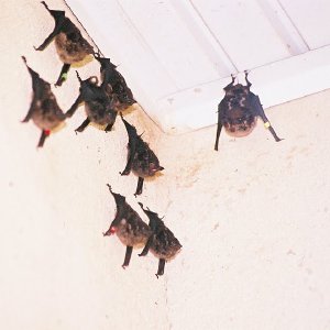 /Albums/14/107600 R1 01 2