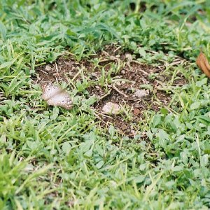 /Albums/14/107600 R1 04 5