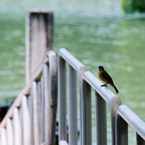 /Albums/14/107600 R1 05 6