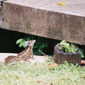 /Albums/14/107600 R1 07 8