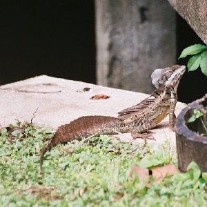 /Albums/14/107600 R1 08 9