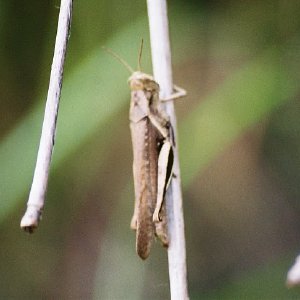 /Albums/14/107600 R1 09 10