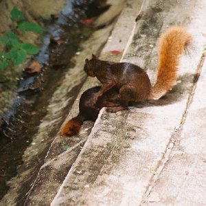 /Albums/14/107600 R1 12 13