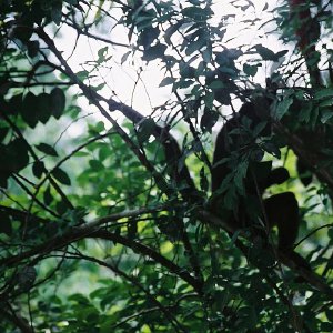 /Albums/14/107600 R1 14 15