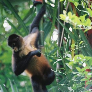 /Albums/14/107600 R1 15 16