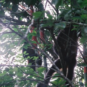 /Albums/14/107600 R1 18 19