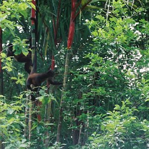 /Albums/14/107600 R1 19 20