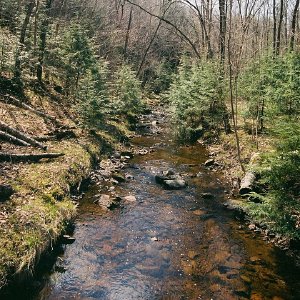 /Albums/14/449952 R1 04 21