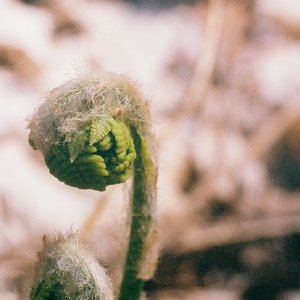 /Albums/14/449952 R1 07 18