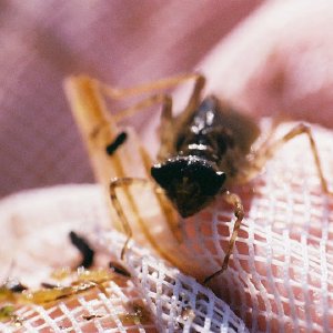 /Albums/14/449952 R1 08 17