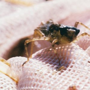 /Albums/14/449952 R1 10 15