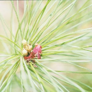 /Albums/14/449952 R1 13 12