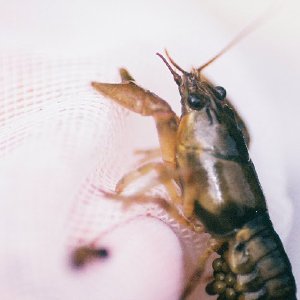 /Albums/14/449952 R1 17 8