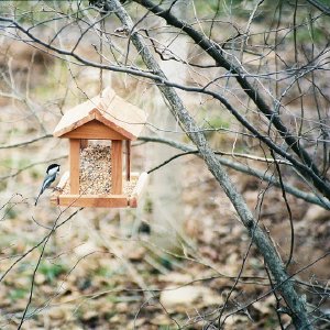 /Albums/14/449952 R1 19 6