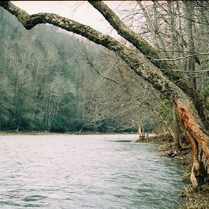 /Albums/14/449952 R1 22 3