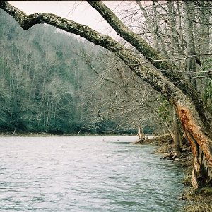 /Albums/14/449952 R1 23 2