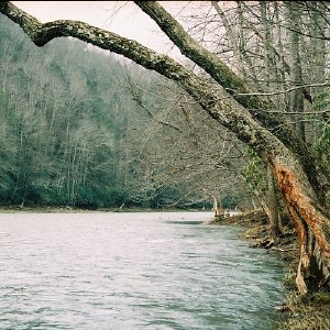 /Albums/14/449952 R1 24 1