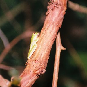 /Albums/14/449953 R1 27 9