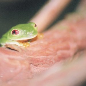 /Albums/14/449953 R1 28 8