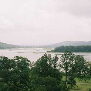 /Albums/14/449953 R1 34 2