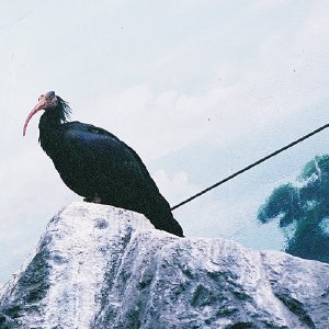 /Albums/14/993098 R1 05 32a