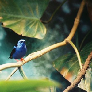 /Albums/14/993098 R1 06 31a