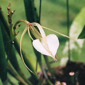 /Albums/14/993433 R3 02 2a