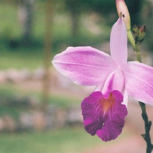 /Albums/14/993433 R3 04 4a