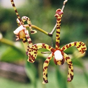 /Albums/14/993433 R3 05 5a