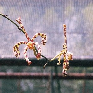 /Albums/14/993433 R3 06 6a