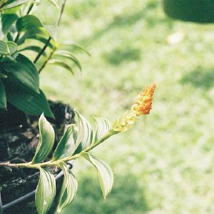 /Albums/14/993433 R3 08 8a