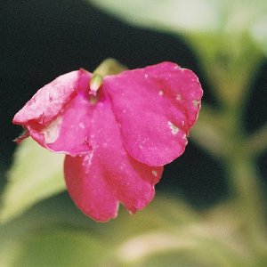 /Albums/14/993433 R3 09 9a