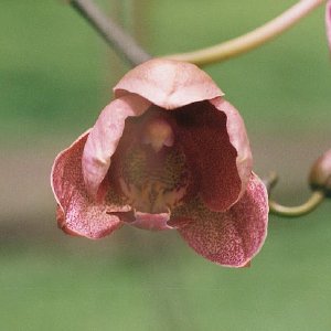 /Albums/14/993433 R3 11 11a